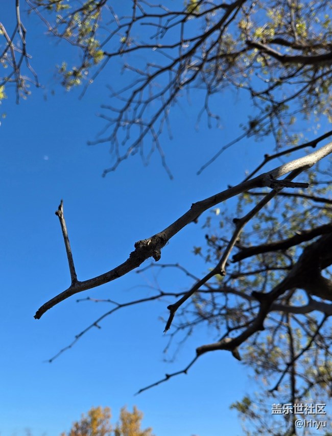 【簡而美】簡致秋色