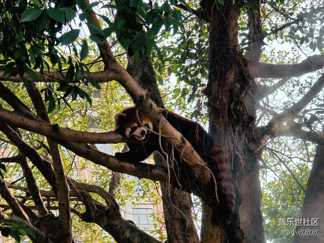 【生活小確幸】生活中的點(diǎn)點(diǎn)滴滴