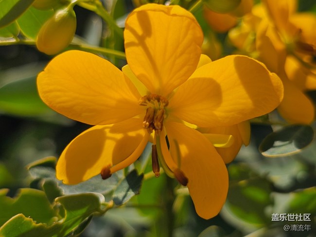 【國(guó)慶旅途】路過(guò)風(fēng)景