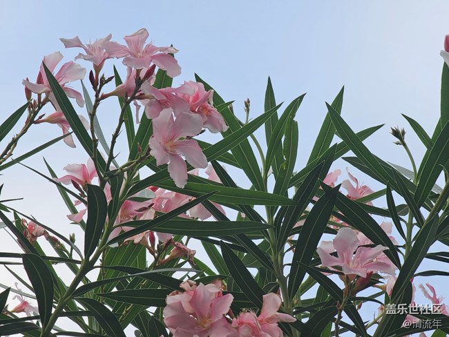 【世間的美好】好時光