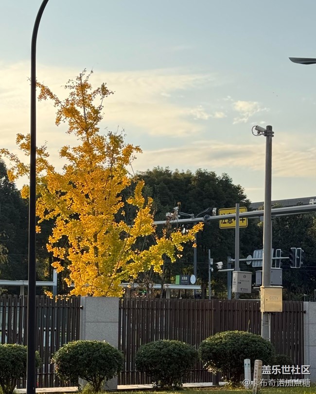 【世間的美好】好天氣