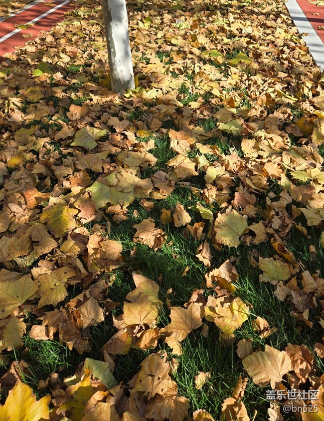 【尋找生活中的溫暖】輕暖時刻