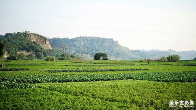 【色彩對話】村村容容，游刃有余
