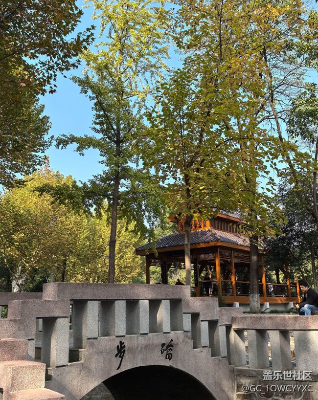 【世間的美好】公園撿秋