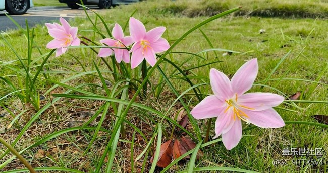 【世間的美好】身邊的美景