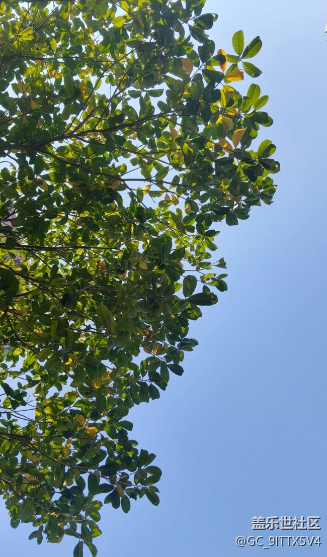 【世間的美好】身邊的美景