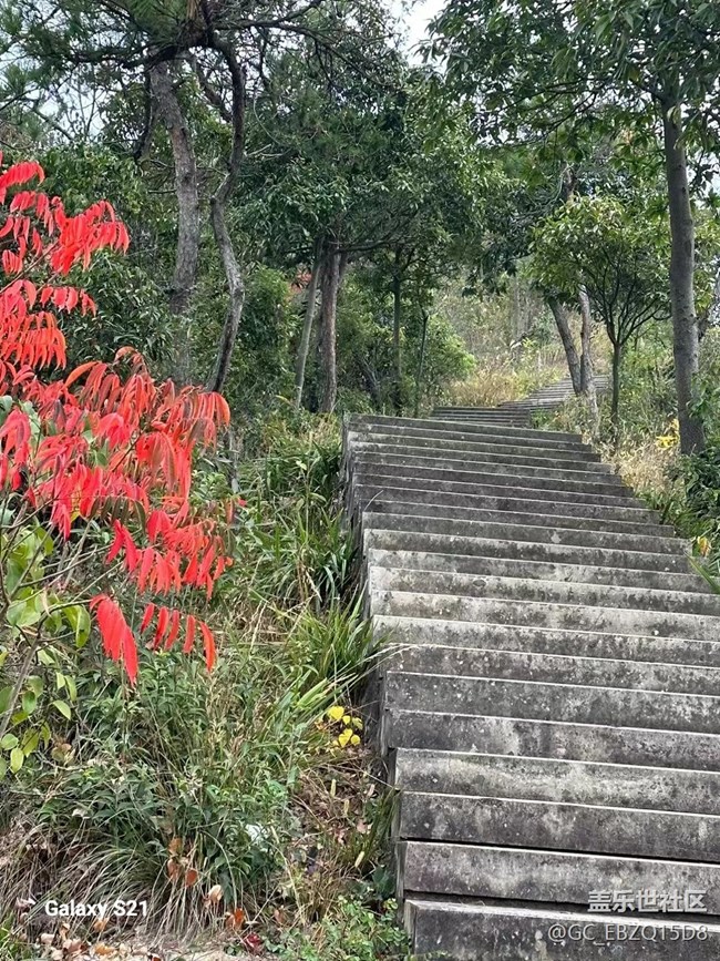 【鵬城尋冬記】看風景