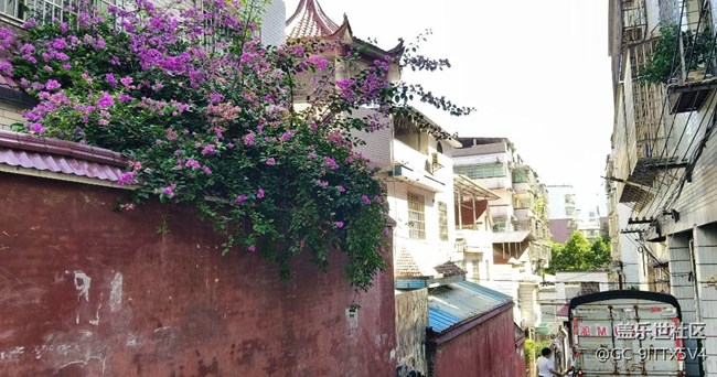 【世間的美好】身邊的美景