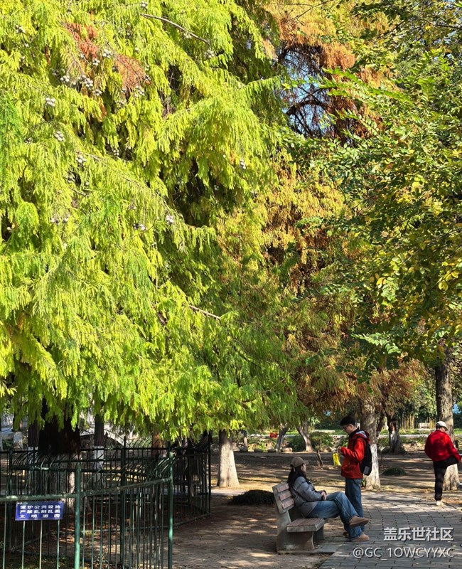 【世間的美好】公園撿秋