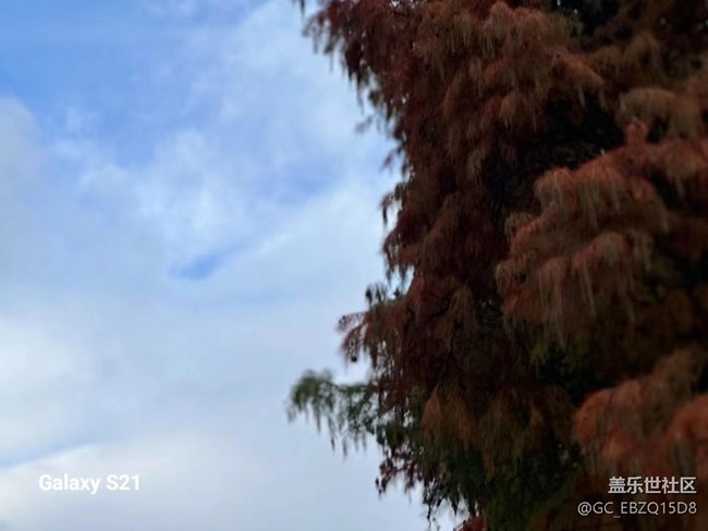 【鵬城尋冬記】看風景