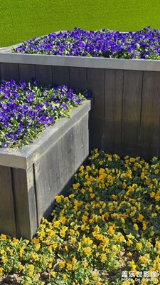 【色彩對(duì)話】+多姿多彩