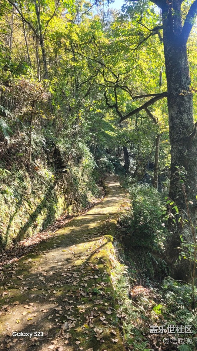 【鵬城尋冬記】爬山賞秋