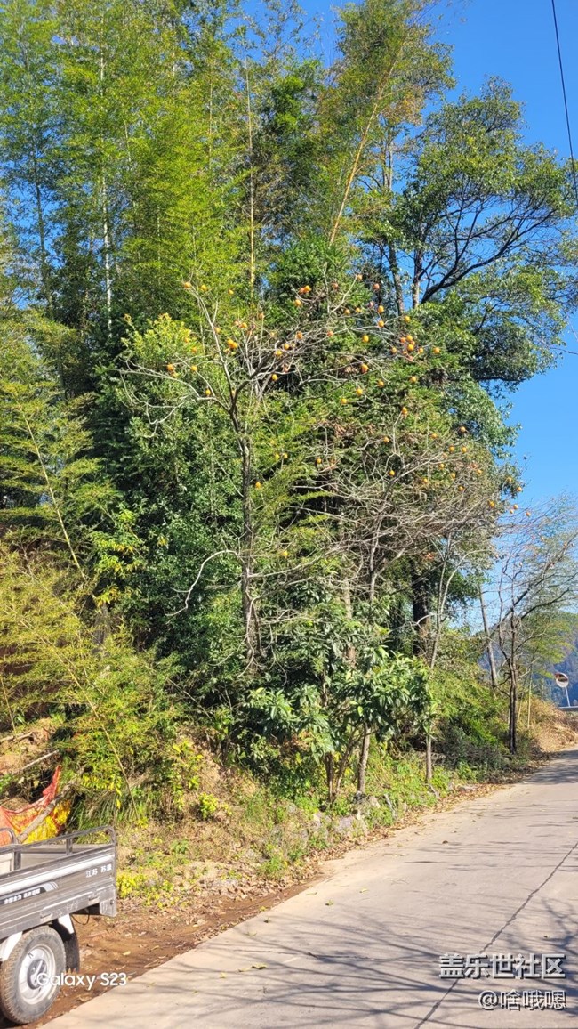 【鵬城尋冬記】爬山賞秋