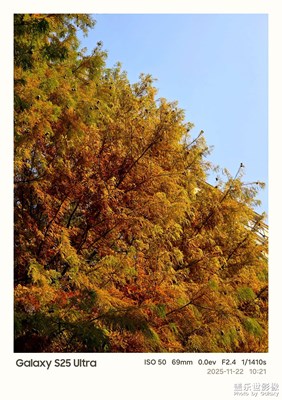 【色彩對(duì)話】+初冬的公園