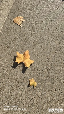 【色彩對話】秋天多彩的顏色