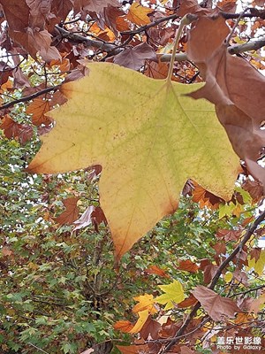 【色彩對話】周末加班，連滾帶爬