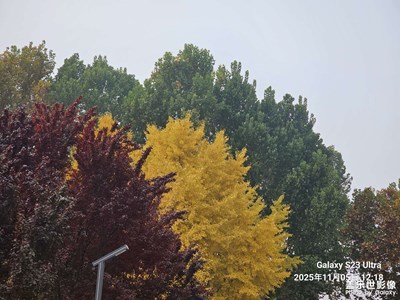 【色彩對話】+多彩的秋天