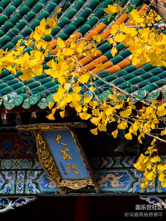 【兩億像素，一眼千年】亳都CityWalk活動回顧