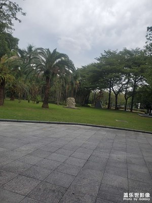 【色彩對話】公園日常