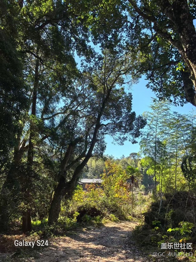 【鵬城尋冬記】登山