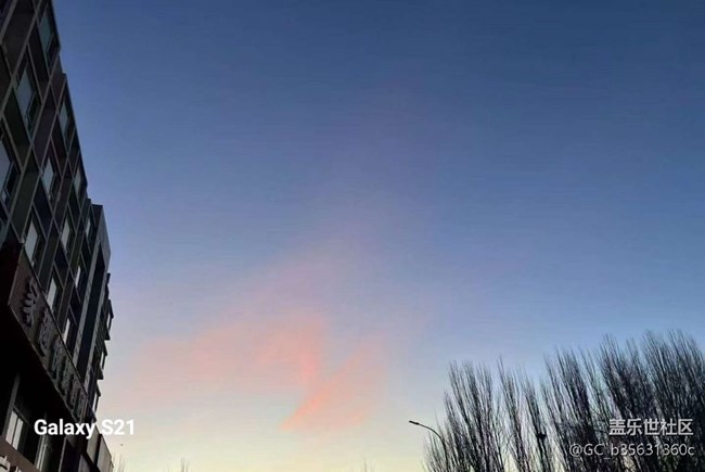 【鵬城尋冬記】初冬好天氣