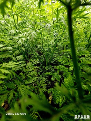 【色彩對(duì)話】+今年色彩記錄