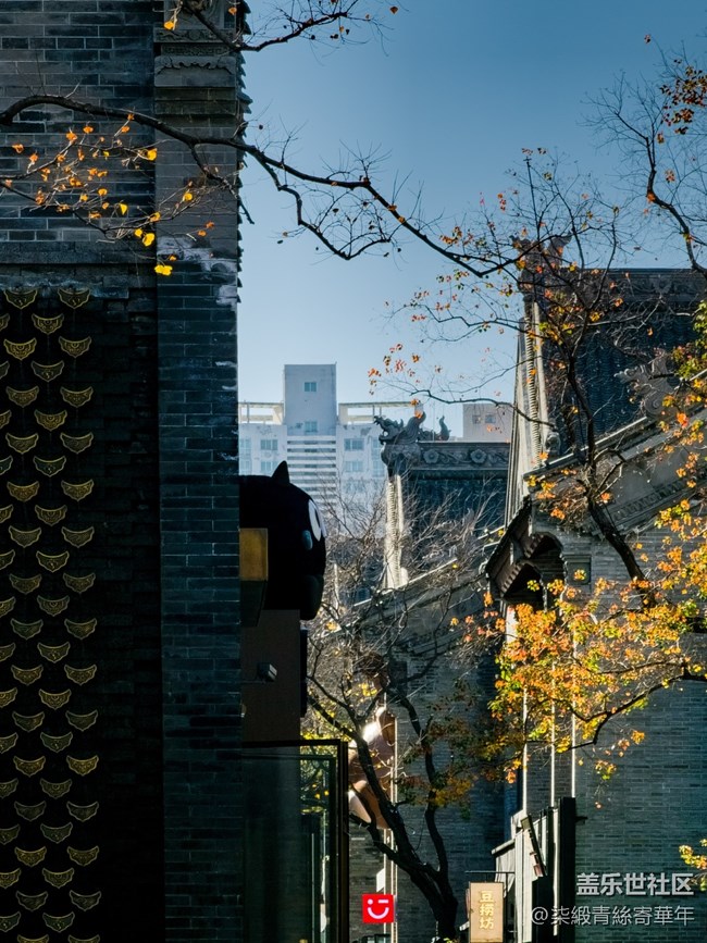 【兩億像素，一眼千年】亳都CityWalk活動回顧