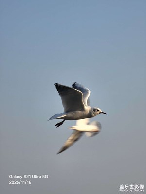 【色彩對(duì)話】深圳灣公園