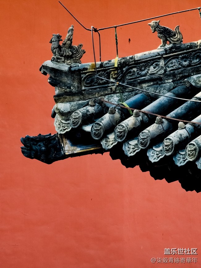 【兩億像素，一眼千年】亳都CityWalk活動回顧