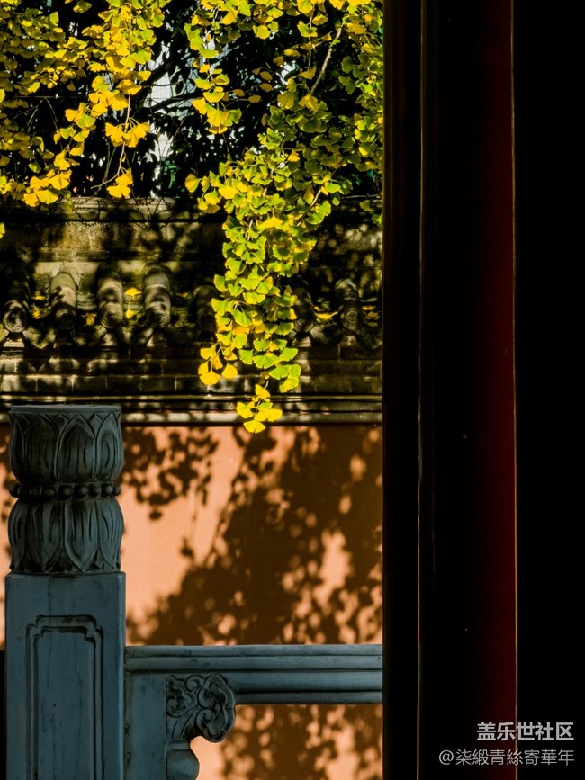 【兩億像素，一眼千年】亳都CityWalk活動回顧