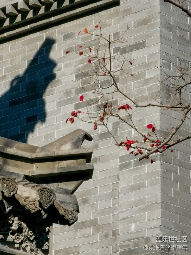【兩億像素，一眼千年】亳都CityWalk活動回顧