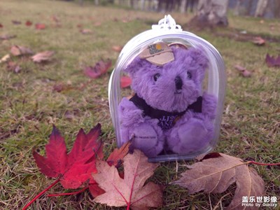 【色彩對話】星期天逛公園