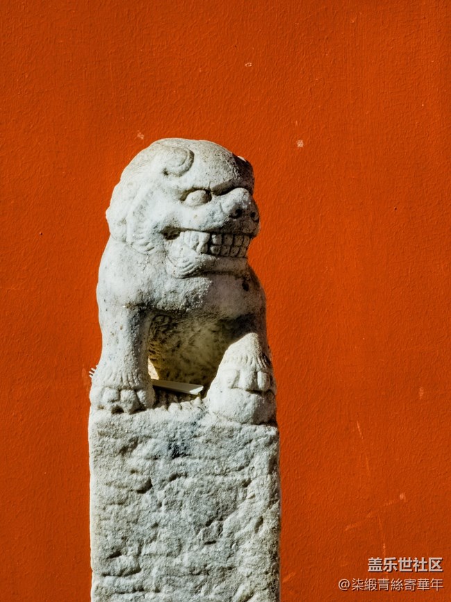 【兩億像素，一眼千年】亳都CityWalk活動回顧