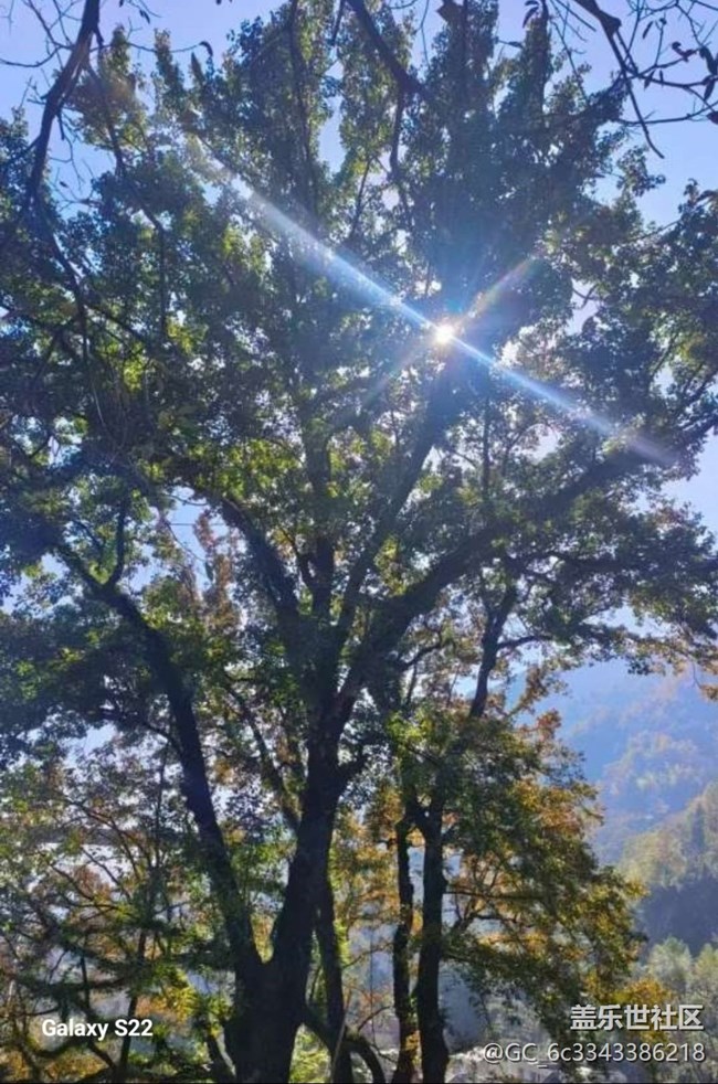 【鵬城尋冬記】賞楓季