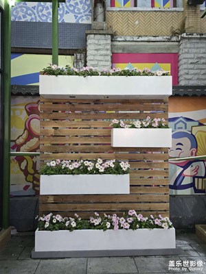 【色彩對(duì)話】+花城