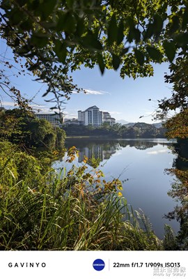 【色彩對話】四季如春的萬綠湖