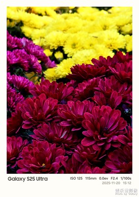 Galaxy S25 Ultra鏡頭里的花花世界
