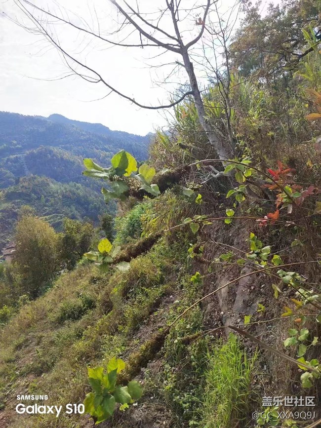 【鵬城尋冬記】天氣真好