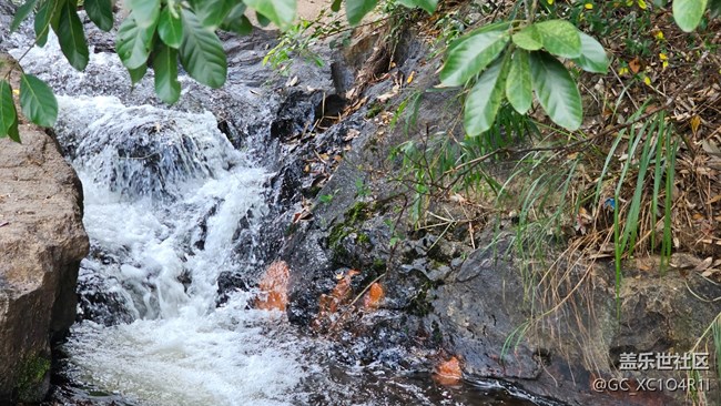 【全鏡影像】山間流水