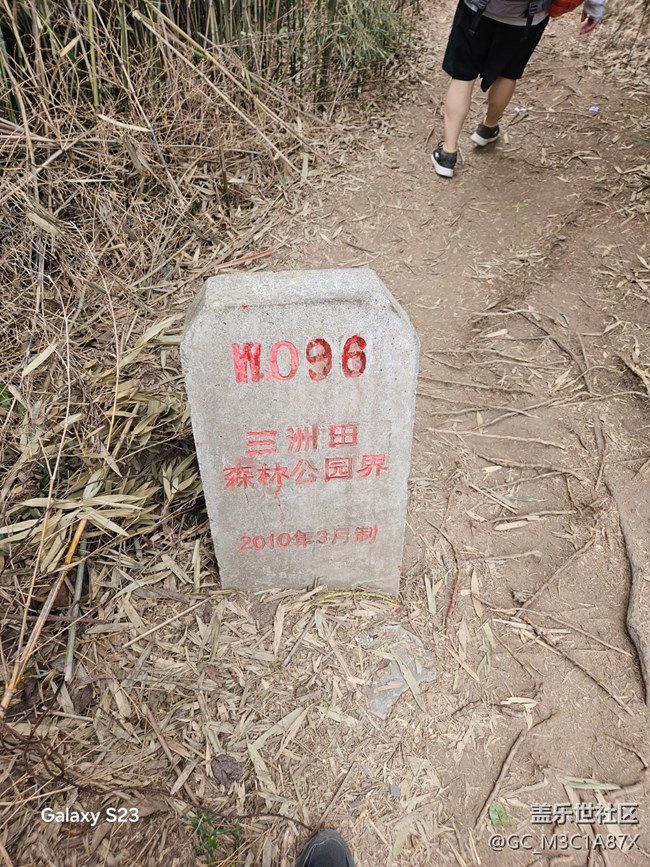 【鵬城尋冬記】徒步