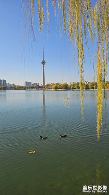 【色彩對話】北京的秋