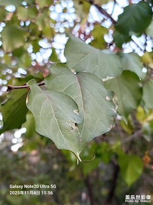 【色彩對(duì)話】+深秋時(shí)節(jié)的公園