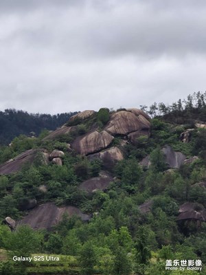 須知少年凌云志，當許天下第一流。