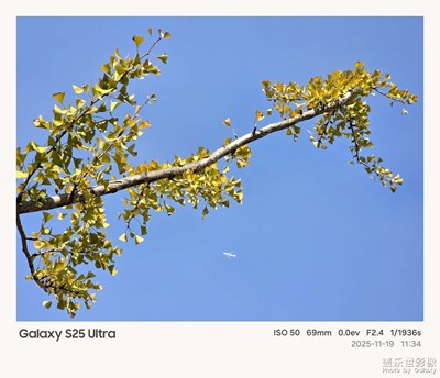 三星Galaxy S25 Ultra 鏡頭下的秋葉