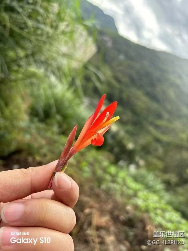 【鵬城尋冬記】初冬隨拍