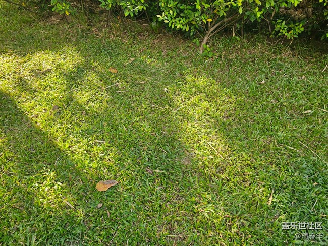 【全鏡影像】好天氣