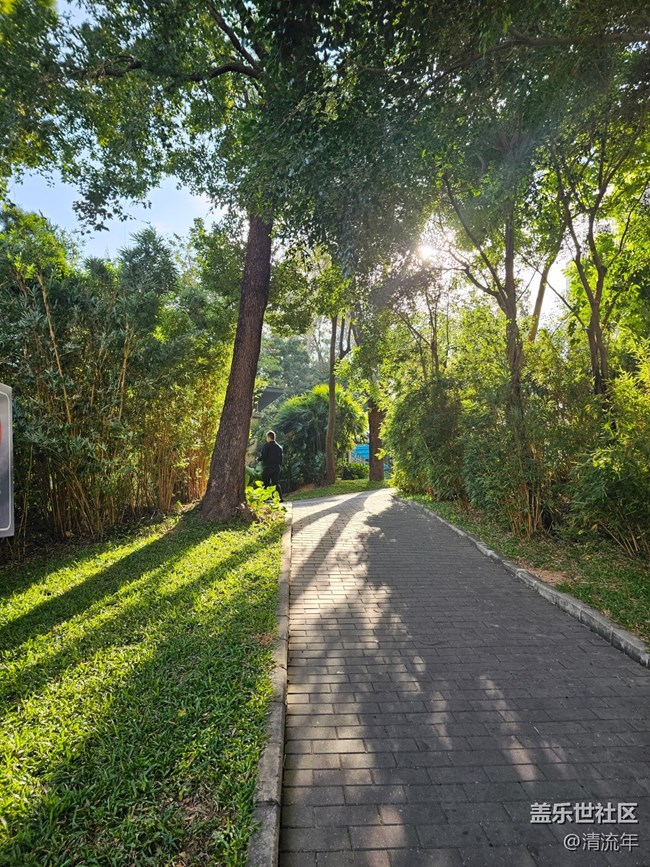 【全鏡影像】好天氣