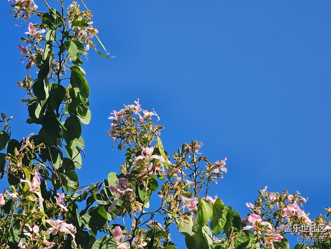 【全鏡影像】好天氣