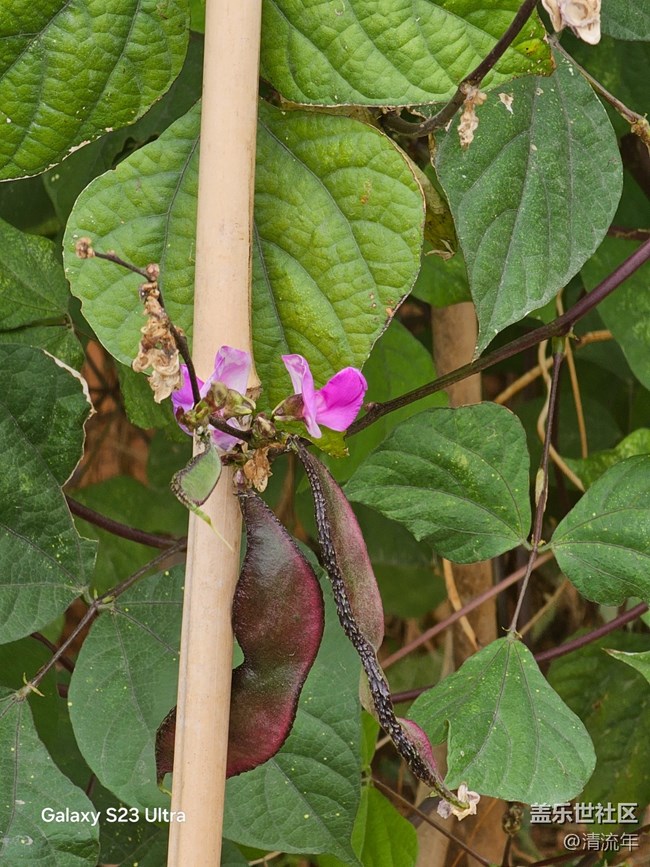 【鵬城尋冬記】11月