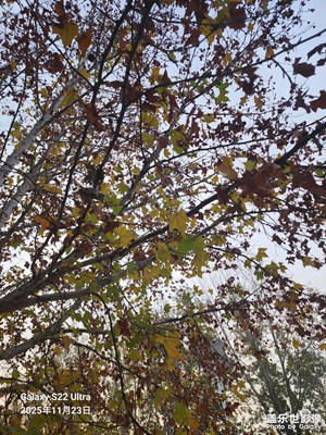 色彩對(duì)話 路上隨拍